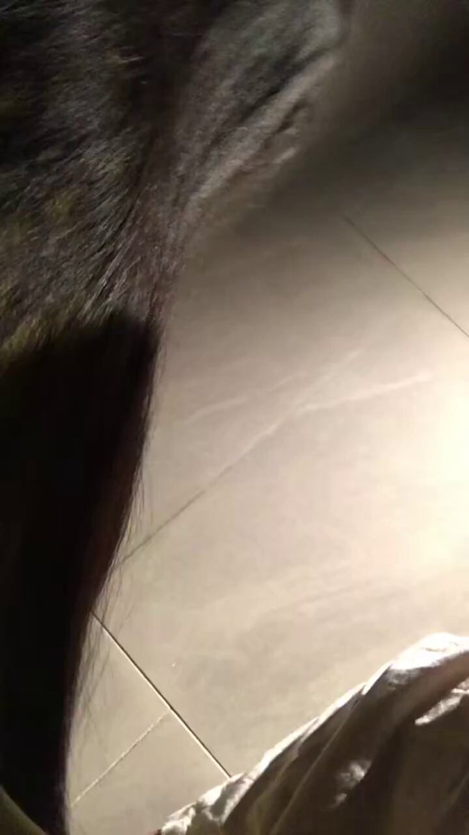 学妹被拉到卫生间，即刻插入